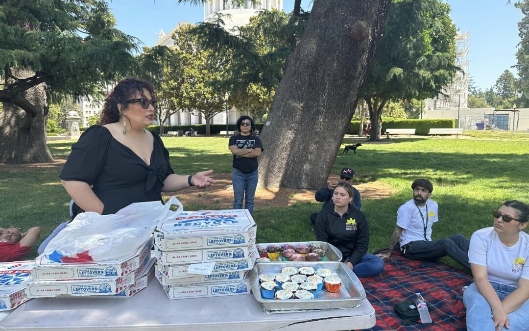Picnic at the Capitol in Solidarity with Immigrant Rights.